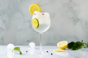 Gin Tonic