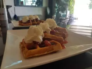 Waffle Freson