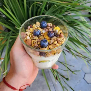 Vasito de Yogurt