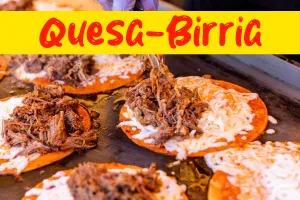 Quesabirria