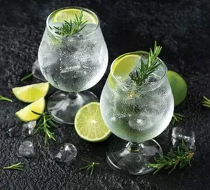 Gin Tonic de Litro