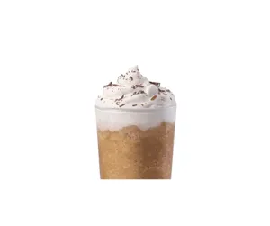 Frappé Mint Condition 476 ml